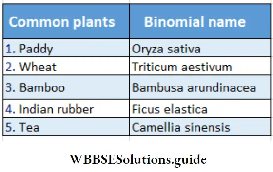 The Living World Scientific Names Of Some Plants