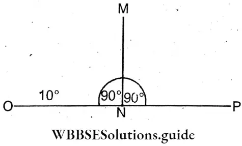 WBBSE Solution For Class 8 Chapter 6 Complementary Angles Supplementary Angles And Adjacent Angles MNO And MNP Are Supplementary Angles.
