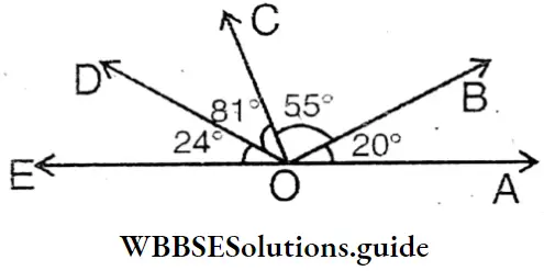 WBBSE Solution For Class 8 Chapter 6 Complementary Angles Supplementary Angles And Adjacent Angles OA And OE Line Segments