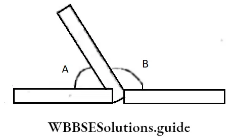 WBBSE Solution For Class 8 Chapter 6 Complementary Angles Supplementary Angles And Adjacent Angles The Red And The Blue Sticks Lie On A Straight Line