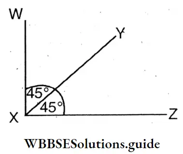 WBBSE Solution For Class 8 Chapter 6 Complementary Angles Supplementary Angles And Adjacent Angles WXY And YXZ Are Supplementary Angles.