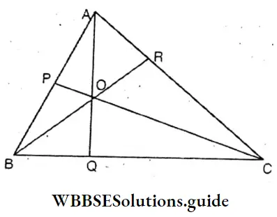 WBBSE Solutions Class 8 Chapter 20 Geometrical Proofs AO Is Extended Which Cuts BC At Q