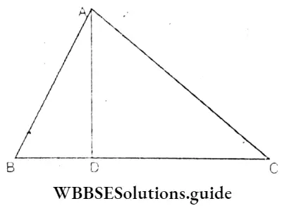 WBBSE Solutions Class 8 Chapter 20 Geometrical Proofs Delta ABC And D Is A Point On BC