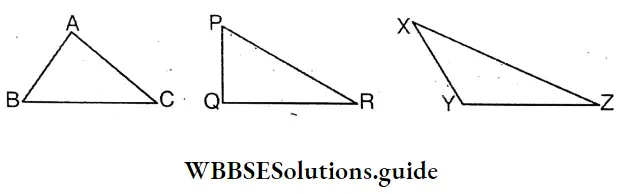 WBBSE Solutions Class 8 Chapter 20 Geometrical Proofs Lengths Of Two Sides Is Big