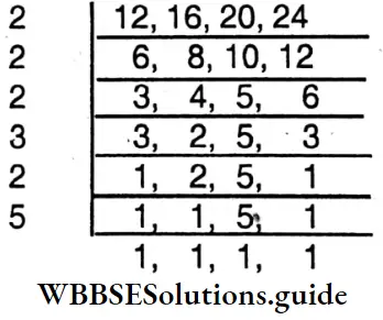 WBBSE Solutions For Class 6 Maths Chapter 18 Square Root LCM Of 12, 16, 20, 24