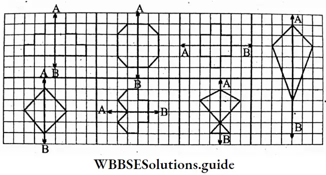 WBBSE Solutions For Class 6 Maths Chapter 23 Symmetry A Graph Paper With Square Cells Taking Straigth Line AB