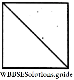 WBBSE Solutions For Class 6 Maths Chapter 23 Symmetry A Quadrilateral Having 4 Lines Of Symmetry