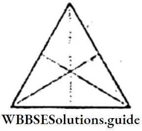 WBBSE Solutions For Class 6 Maths Chapter 23 Symmetry A Triangle Having 3 Lines Of Symmetry
