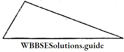 WBBSE Solutions For Class 6 Maths Chapter 23 Symmetry A Triangle Having No Line Of Symmetry
