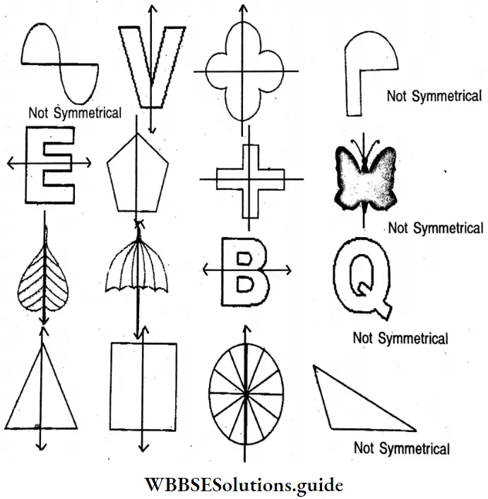 WBBSE Solutions For Class 6 Maths Chapter 23 Symmetry Symmetric And Non Symmetric Pictures