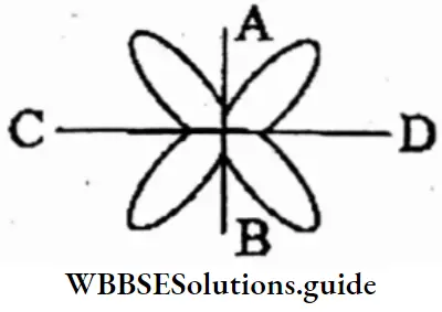 WBBSE Solutions For Class 6 Maths Chapter 23 Symmetry Taking AB And CD As Line Of Symmetry