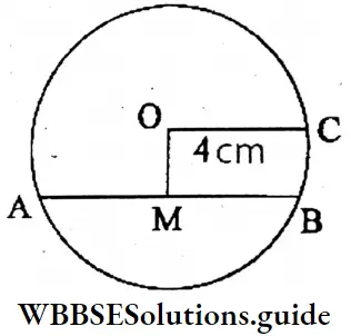 WBBSE Solutions For Class 6 Maths Chapter Chapter 22 Drawing Of Different Geometrical Figures Line Segments AM And BM With A Scale