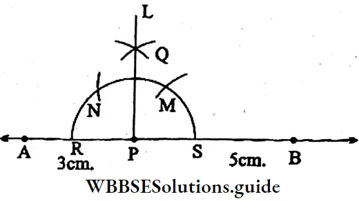 WBBSE Solutions For Class 6 Maths Chapter Chapter 22 Drawing Of Different Geometrical Figures Perpendicular PL On The Line Segment AB At Point P