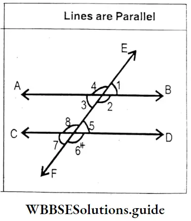 WBBSE Solutions For Class 7 Maths Chapter 13 Parallel Lines And Transversal Lines Are Parallel