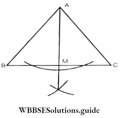 WBBSE Solutions For Class 7 Maths Chapter 14 Properties Of Triangle Acute Angled Triangle