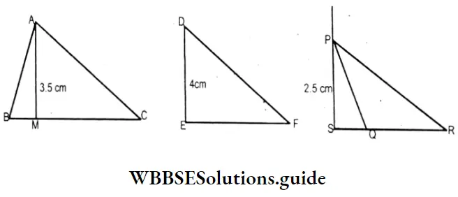 WBBSE Solutions For Class 7 Maths Chapter 14 Properties Of Triangle Height Of Triangles.