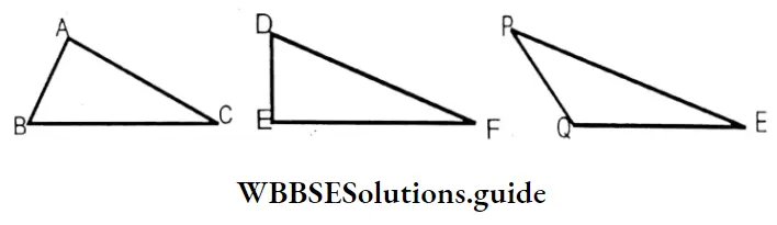 WBBSE Solutions For Class 7 Maths Chapter 14 Properties Of Triangle Height Of Triangles