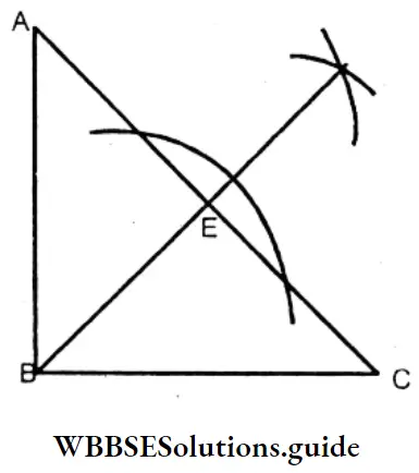 WBBSE Solutions For Class 7 Maths Chapter 14 Properties Of Triangle Right Angled Triangle