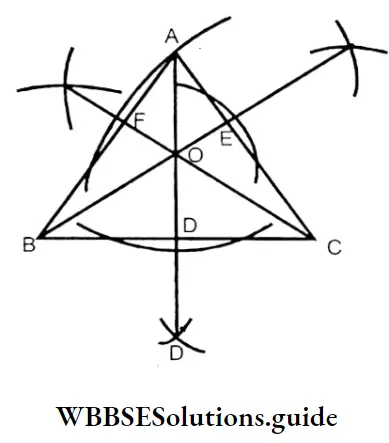 WBBSE Solutions For Class 7 Maths Chapter 14 Properties Of Triangle The Number Of AD BE And CF Altitudes Triangles