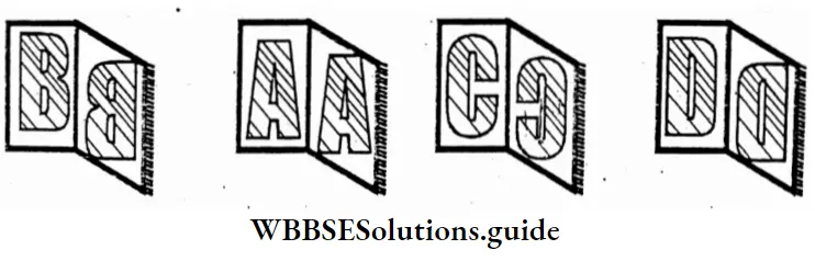 WBBSE Solutions For Class 7 Maths Chapter 18 Symmetry Reflections Of ABCD Mirrors