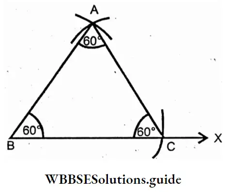 WBBSE Solutions For Class 7 Maths Chapter 8 Construction Of Triangles Equilateral Triangle