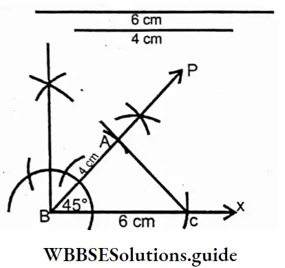 WBBSE Solutions For Class 7 Maths Chapter 8 Construction Of Triangles First Take Ray BX