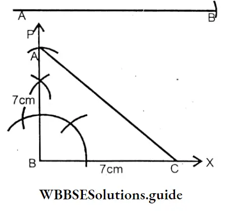 WBBSE Solutions For Class 7 Maths Chapter 8 Construction Of Triangles Isosceles Right Angled Triangle