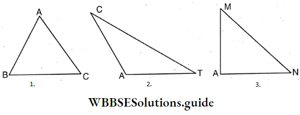 WBBSE Solutions For Class 8 Chapter 16 Verification Of The Relation Between The Angles And The Sides Of A Triangle Parallel And Kuntal Drew Some Triangle Of Different Shapes