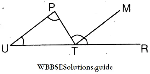 WBBSE Solutions For Class 8 Chapter 16 Verification Of The Relation Between The Angles And The Sides Of A Triangle Tania Drew Triangle