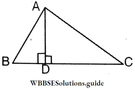 WBBSE Solutions For Class 8 Chapter 16 Verification Of The Relation Between The Angles And The Sides Of A Triangle Triangle ABC Is Perpendicular To BC And AC Greaterthen AB