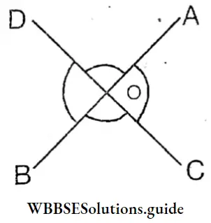 WBBSE Solutions For Class 8 Chapter 7 Concept Of Vertically Opposite Angles AB And CD Are Stright Line Intersecting At O