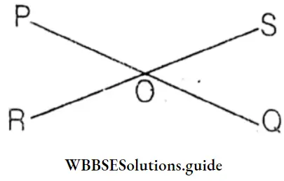 WBBSE Solutions For Class 8 Chapter 7 Concept Of Vertically Opposite Angles Angle POR And Angle QOS iS 110