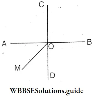 WBBSE Solutions For Class 8 Chapter 7 Concept Of Vertically Opposite Angles Complementary Angles