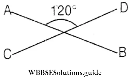 WBBSE Solutions For Class 8 Chapter 7 Concept Of Vertically Opposite Angles OD Stands On Stright Line AB