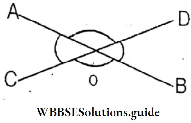 WBBSE Solutions For Class 8 Chapter 7 Concept Of Vertically Opposite Angles Opposite Angles Are Equal