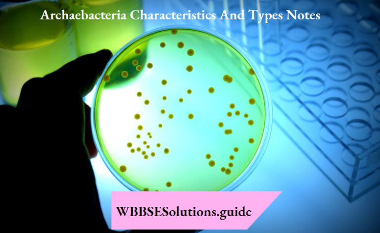 Archaebacteria Characteristics and Types Notes - WBBSE Solutions