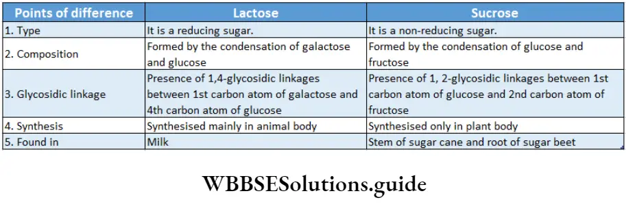 Biology Class 11 Chapter 9 Biomolecules Difference Between Lactose And Surose