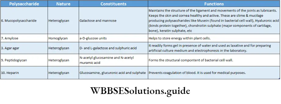 Biology Class 11 Chapter 9 Biomolecules Some Important Polysaccharides- Their Nature, Contituents And Functions 2