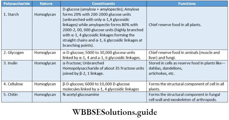 Biology Class 11 Chapter 9 Biomolecules Some Important Polysaccharides- Their Nature, Contituents And Functions