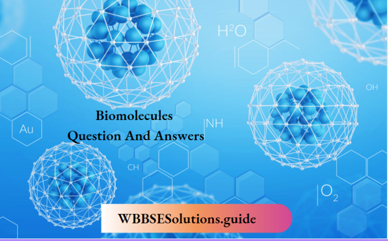 Biomolecules Question And Answers Wbbse Solutions
