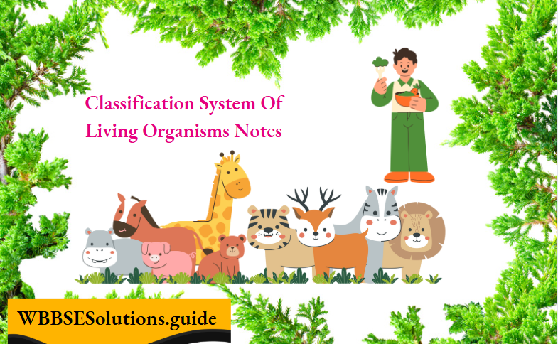 Classification System Of Living Organisms Notes