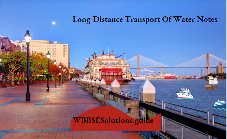 Long-Distance Transport Of Water Notes