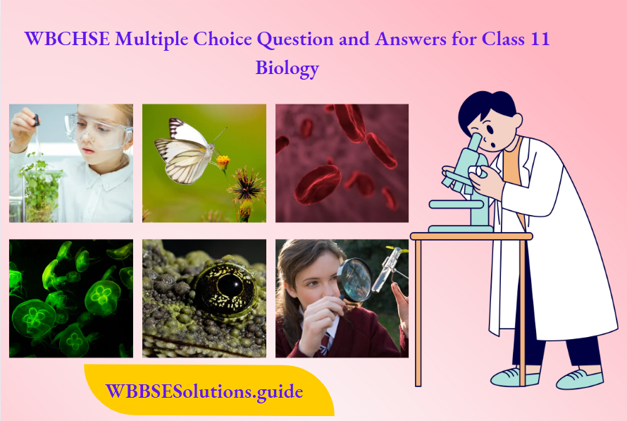 WBCHSE Multiple Choice Question and Answers for Class 11 Biology