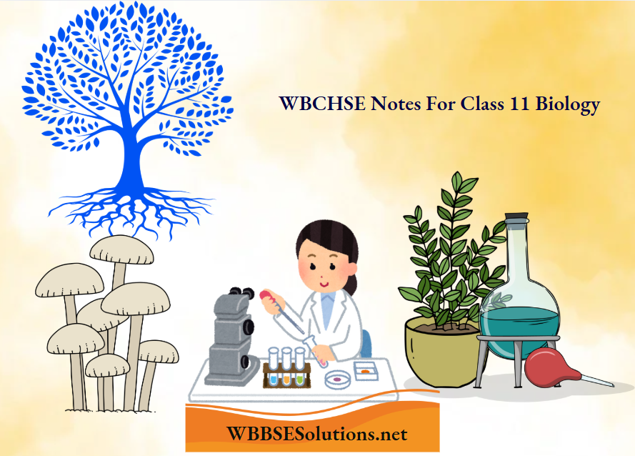 WBCHSE Notes For Class 11 Biology