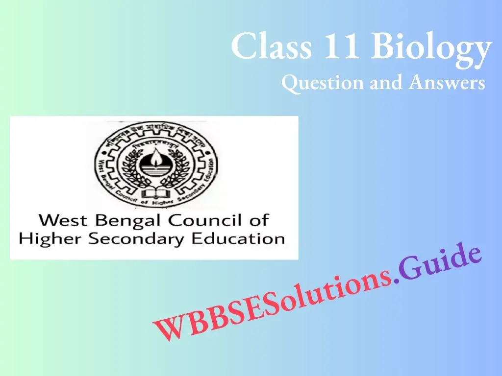 biology class 11 wbchse Question and Answers
