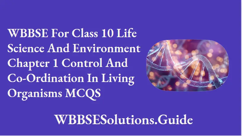 WBBSE For Class 10 Life Science And Environment Chapter 1 Control And Co-Ordination In Living Organisms MCQS