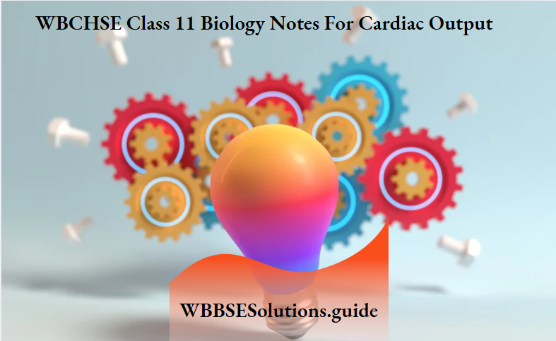 WBCHSE Class 11 Biology Notes For Cardiac Output