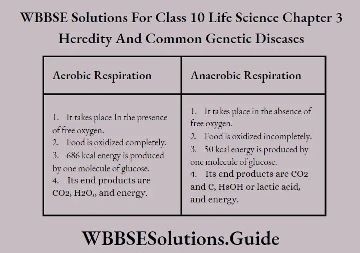 WBBSE Solutions Class 10 Life Science Chapter 3 Heredity And Common Genetic Diseases Aerobic And Anaerobic Respiration