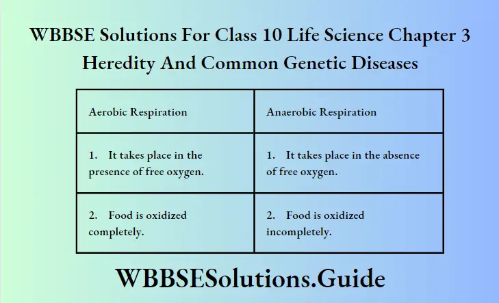 WBBSE Solutions Class 10 Life Science Chapter 3 Heredity And Common Genetic Diseases Aerobic Respriration And Anaerobic Respration