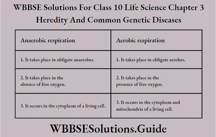WBBSE Solutions Class 10 Life Science Chapter 3 Heredity And Common Genetic Diseases Anaerobic And Aerobic Respiration
